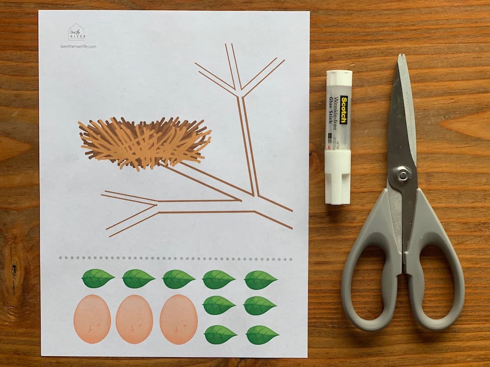 No Supplies Needed Spring Craft for Grandkids Free Bird Nest Template